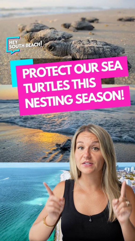 We’re right in the middle of sea turtle nesting season in So…
