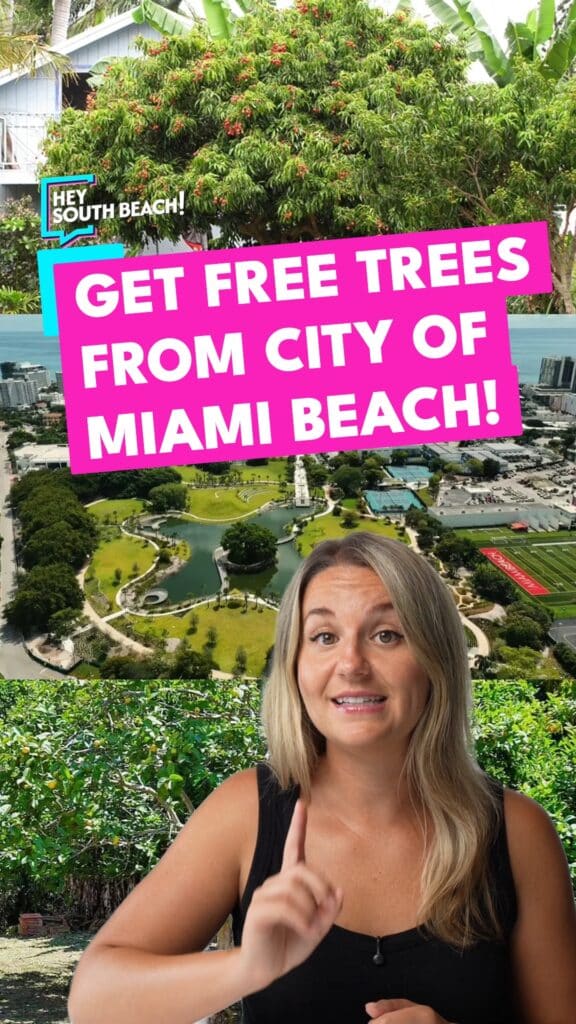 Want a free tree for your yard? The city is giving them away…